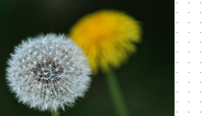 Альт Как пережить кризис идентичности и смыслов: инструкция от Ирины Стояновской